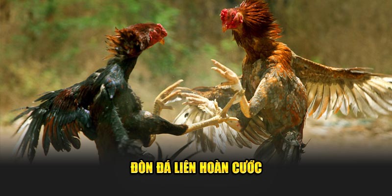 Đòn đá liên hoàn cước