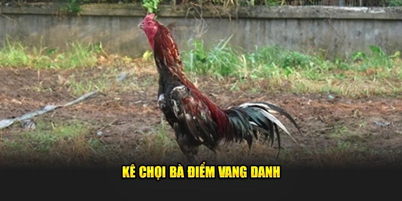 Kê chọi bà Điểm vang danh